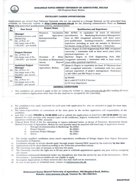 Project Advertisement Pdf