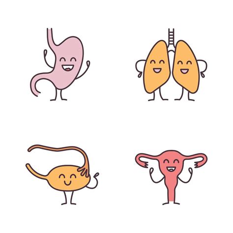 Smiling Human Internal Organs Characters Color Icons Set Happy Stomach