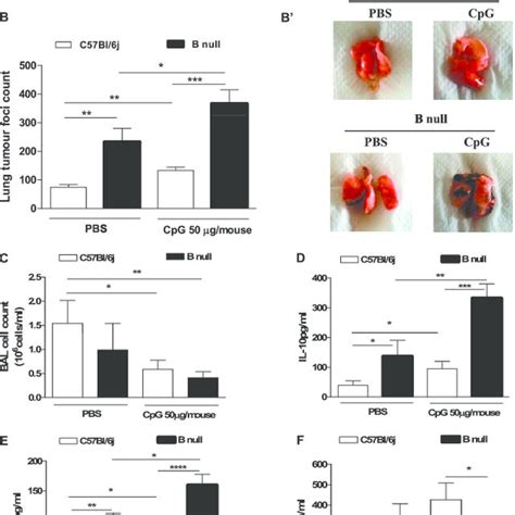 Cpg Oligodeoxynucleotide Cpg Odn Cpg Significantly Increased Tumor