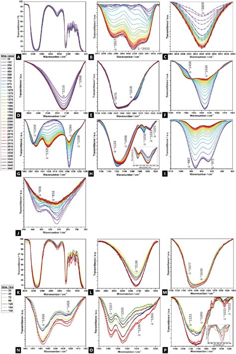 Ftir Spectra Of A Double Network Alginate Acrylamide Tough Hydrogel