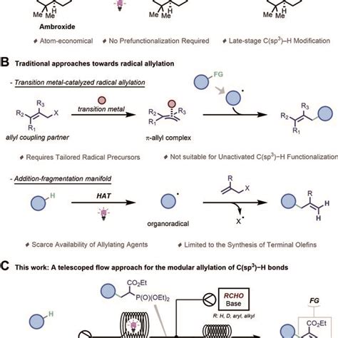 Allylation Of Csp³h Bonds A Photocatalytic Hat Enables Late Stage