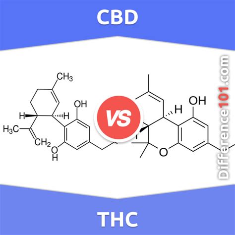 Cbd Vs Thc 6 Key Differences Pros And Cons Examples Difference 101