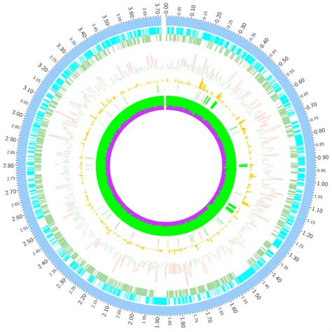 Circular graph depicting the distribution of variants in the 23 ... 