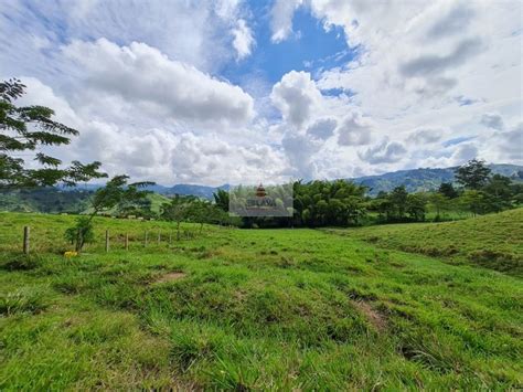 Venta Lote Campestre En El Rosario Manizales Cop