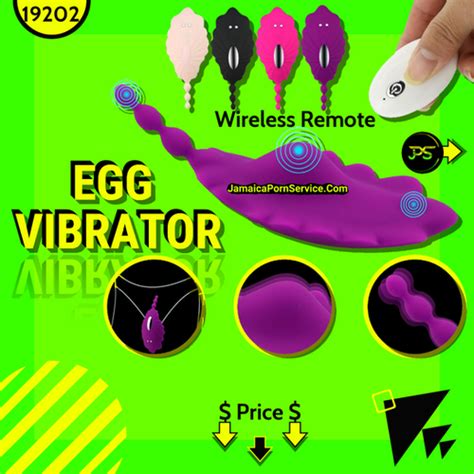 Raffish Seashell Panty Vibrator Adult Sex Toy Jamaica Porn Service