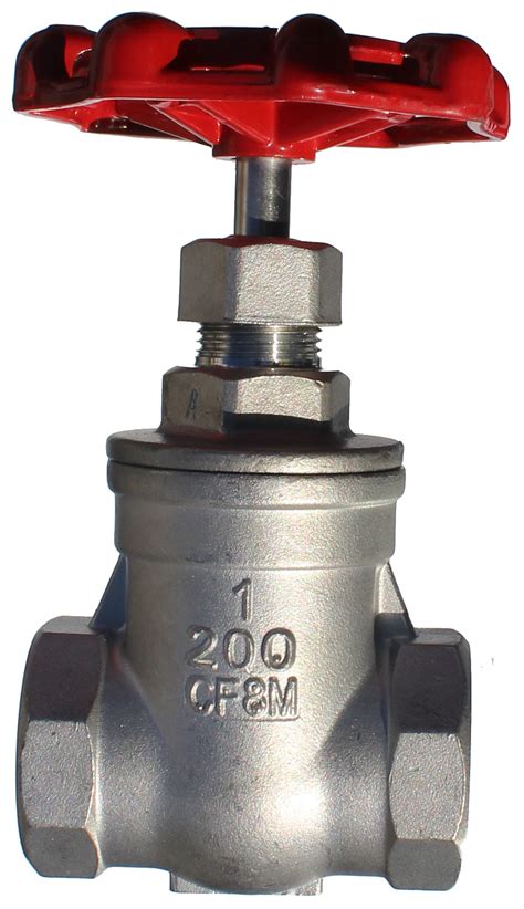 Stainless Steel Gate Valve Advanced Industrial Products