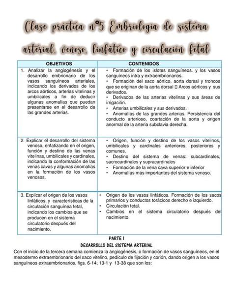 Embriología El sistema arterial venoso y linfático fetal Mirna