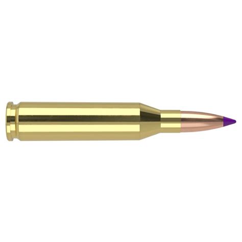 Amunicja Win Nosler Ballistic Tip Gr