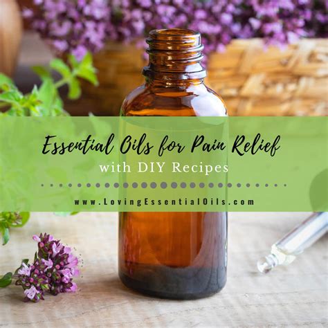 10 Essential Oils For Pain Relief With Diy Recipe Blends Loving