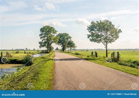 Typical Dutch Polder Landscape In The Dutch Region Alblasserwaard Stock