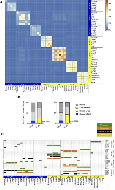 JCI Insight Genomic Distinctions Between Metastatic Lower And Upper