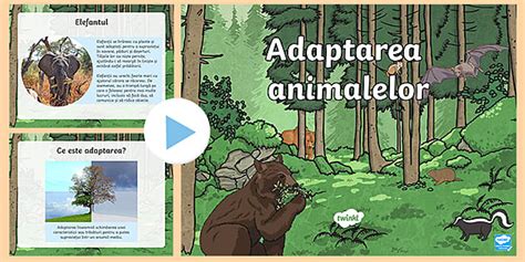 Adaptarea animalelor la mediul de viață PowerPoint