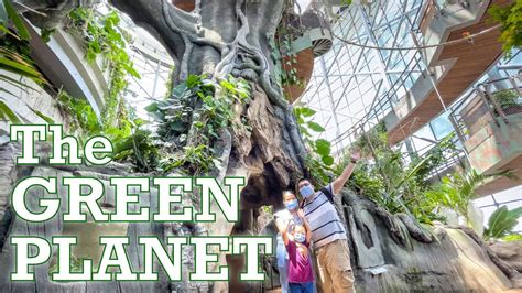 THE GREEN PLANET DUBAI Rainforest Exploration YouTube