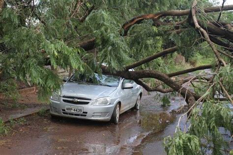 Chuva rápida ventos fortes derruba árvore em cima de carro na