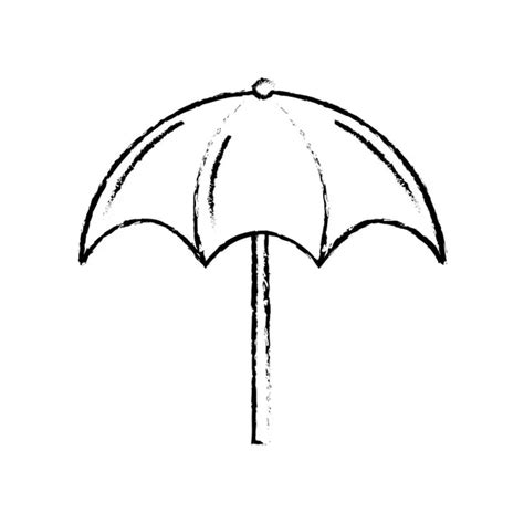 100000 Umbrella Acacia Vector Images Depositphotos