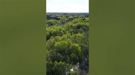 Fly by Lake Ežezers (Ješa ezers) #latgale #nature #spring #🇱🇻 #dji #ežezers_lake #shorts #lake ...