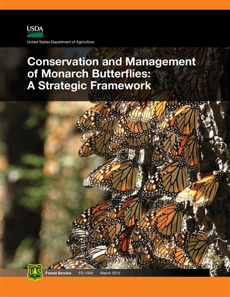 Conservation And Management Of Monarch Butterflies Slides Dynamics