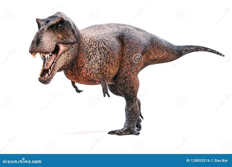 D Render Of Tyrannosaurus Rex Stock Illustration Illustration Of