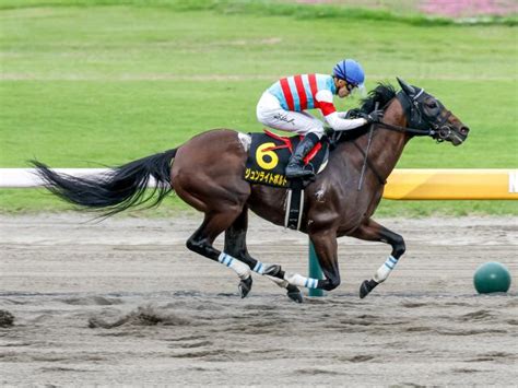 【シリウスs展望】混戦模様のハンデ戦、好走傾向に合うあの馬に期待したい ライブドアニュース