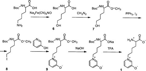 Synthesis of OP-lysine. TFA, trifluoroacetic acid. | Download ...