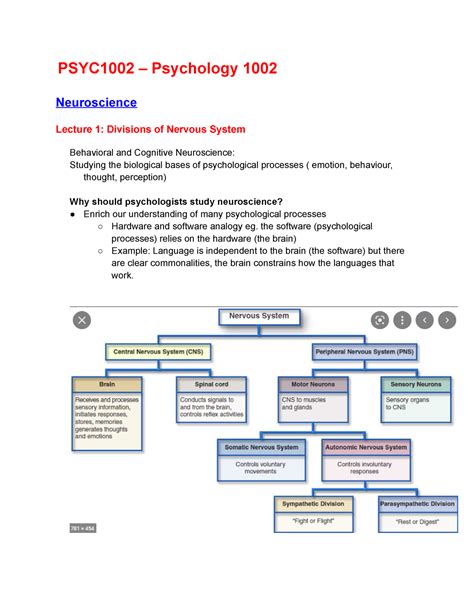 Psychology 1002 Neuroscience Notes PSYC1002 Psychology 1002