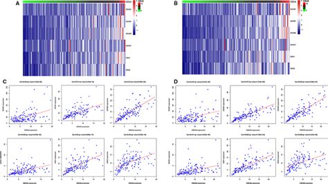 Singlegene Analysis To Study The Relationship Between CDCA5 And CDCA8