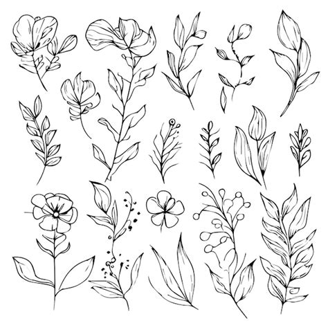 Silhouettes Noires De Fleurs D Herbe Et D Herbes Illustration