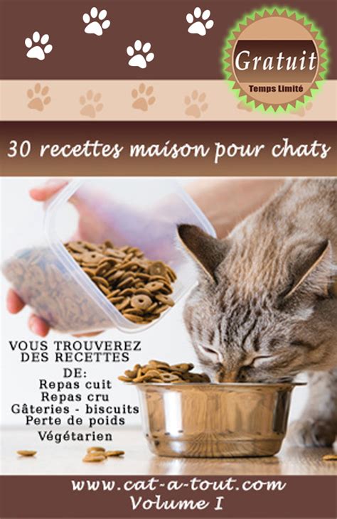 Recettes Gratuite Pour Chats Biscuits G Teaux G Teries Pour