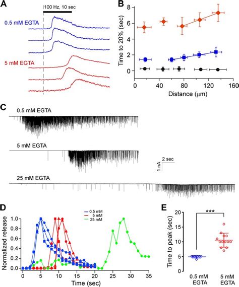 Figures And Data In Synchronous And Asynchronous Modes Of Synaptic Transmission Utilize