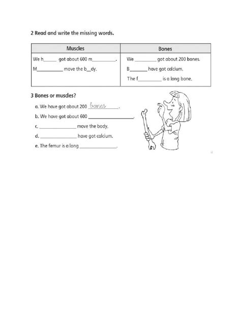 Muscles And Bones Worksheet Live Worksheets