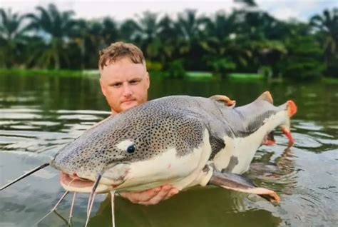 Red Tail Catfish River Monsters