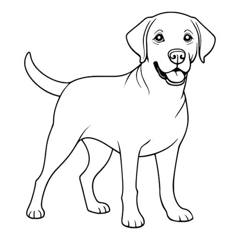 Premium Photo Labrador Retriever Dog Coloring Page For Kids