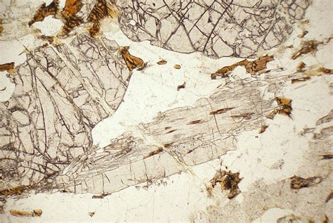 Garnet Gneiss Jaipur India Thin Section Microscope Slide Geosec