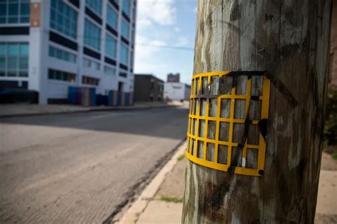 Why Yellow Grids Are On Some Philly Area Utility Poles