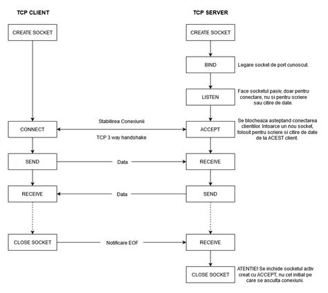 Api Sockets Pentru Tcp Protocoale De Comunicație 🌐