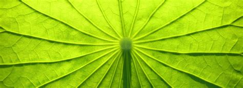 Preparing For Your Mediation Centre For Mediation