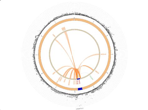 Circos Plots Of Mapped Gene On Chromosome Locus Genomic Risk Loci