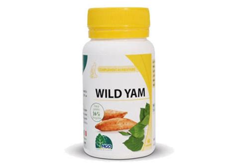 Wild Yam Compl Ment Alimentaire Pour Le Bien Tre F Minin