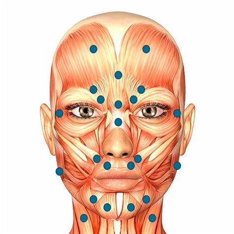 Botulinum Toxin Assessment Facial Mapping And Injection Aesthetil