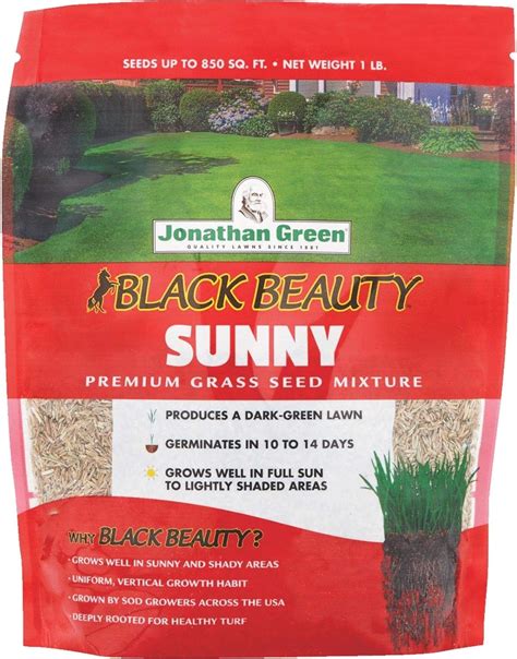 Jonathan Green Black Beauty Full Sun Grass Seed Mixture Amazon Ca Patio Lawn And Garden