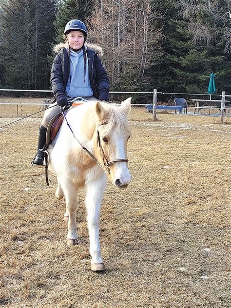 Equine Assisted Learning At Tamarack Farms Near Espanola Sudbury Star