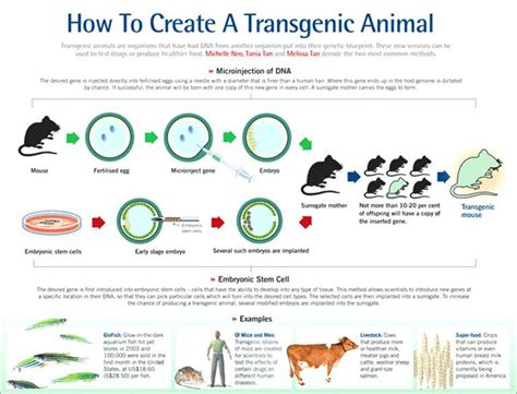 Genetically Engineered Glow In The Dark Animals