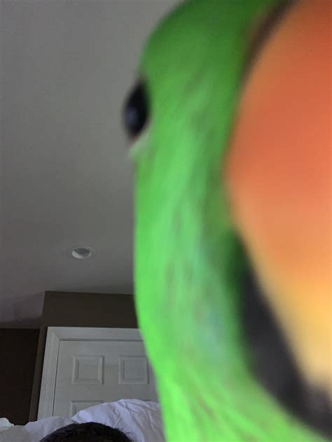 [50 50] Man Gets Curb Stomped Nsfw Bird Selfie Sfw R Fiftyfifty