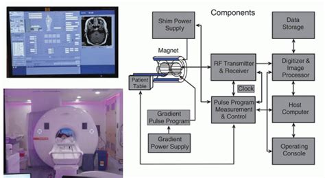 Magnetic Resonance Basics Magnetic Fields Nuclear Magnetic