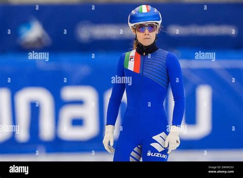 Isu Weltcup Shorttrack Eisschnelllauf Dresden Fotos Und