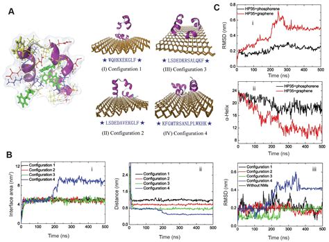 Nanobio Interface Between Proteins And D Nanomaterials Acs Applied