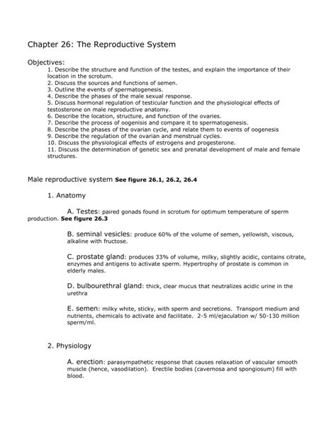 Chapter 26 The Reproductive System