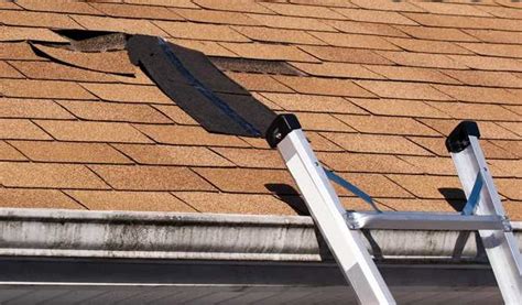 Commercial Roof Maintenance Tips To Extend Your Roofs Lifespan Zzoomit