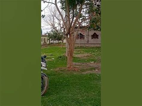 Ye wadiya|| ये वादियां|| Old Is Gold 🪙|| #sk_243 #shortvideo #ytshorts ...
