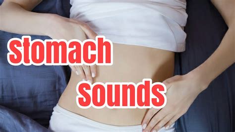 Stomach Sound [stomach Growling][asmr] [2023 04 25] Youtube